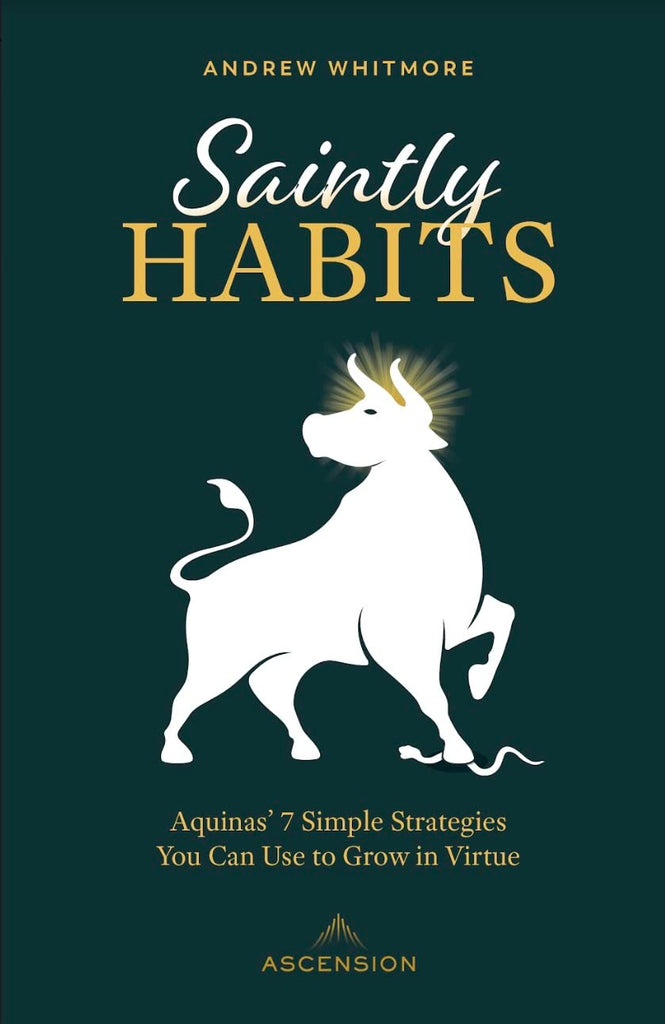 Saintly Habits - Aquinas' 7 Simple Strategies You Can Use to Grow in Virtue
