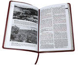 St. Joseph Edition New Testament