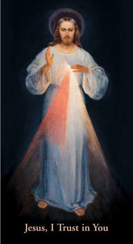 The Chaplet of Divine Mercy Prayer Card - Vilnius Image