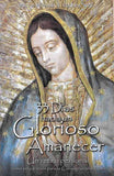 33 Days to Morning Glory: A Do-It-Yourself Retreat In Preparation for Marian Consecration - Catholic Shoppe USA - 2