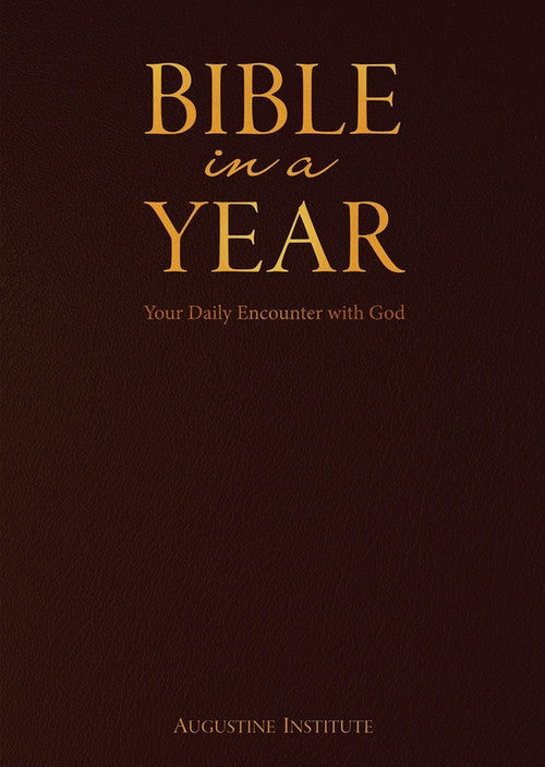 Bible in a Year - Your Daily Encounter with God