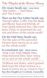 The Chaplet of Divine Mercy Prayer Card