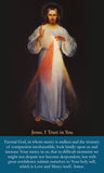 The Chaplet of Divine Mercy Prayer Card