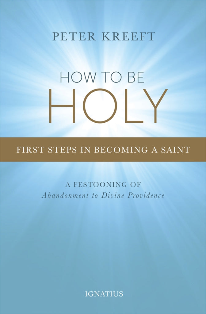 How to be Holy - First Steps in Becoming a Saint