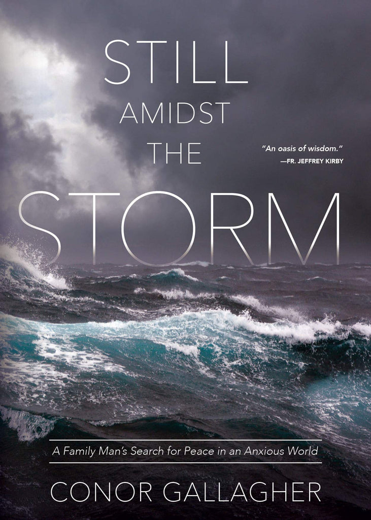 Still Amidst the Storm - A Family Man’s Search for Peace in an Anxious World