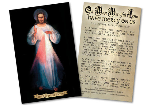 The Chaplet of Divine Mercy Prayer Card - Laminated